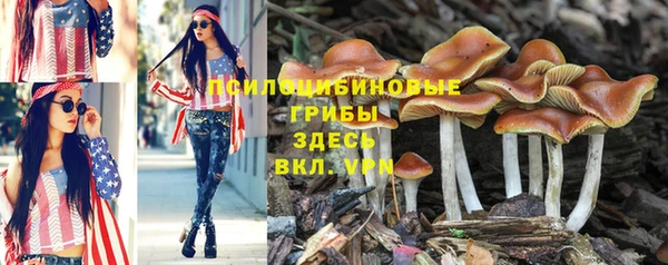 кристаллы Горнозаводск