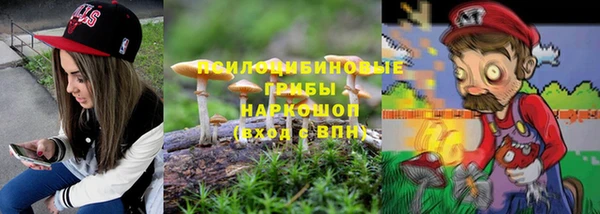apvp Гусиноозёрск