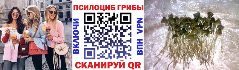 Псилоцибиновые грибы Magic Shrooms  Гусиноозёрск 