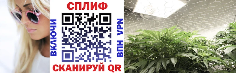 Шишки марихуана LSD WEED  где продают   Гусиноозёрск 